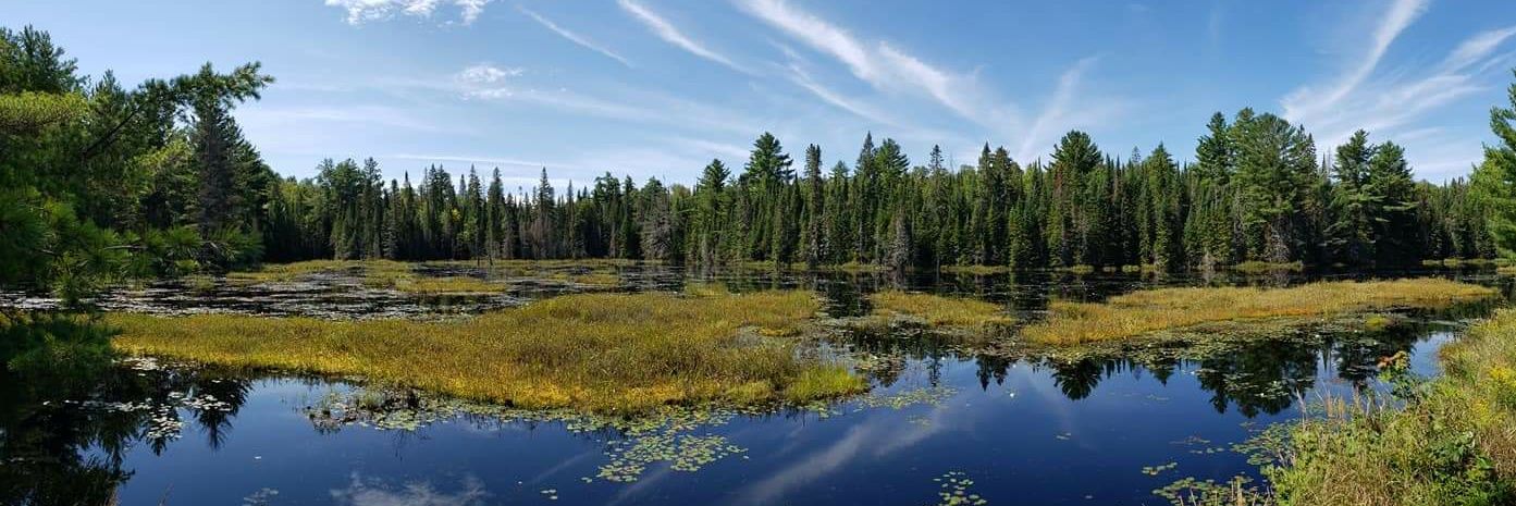 Angela Horvath banner