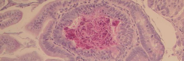 PathologyEdin Profile Banner