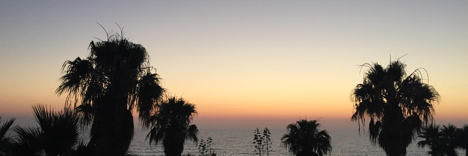 Danielle_C_R's profile banner image