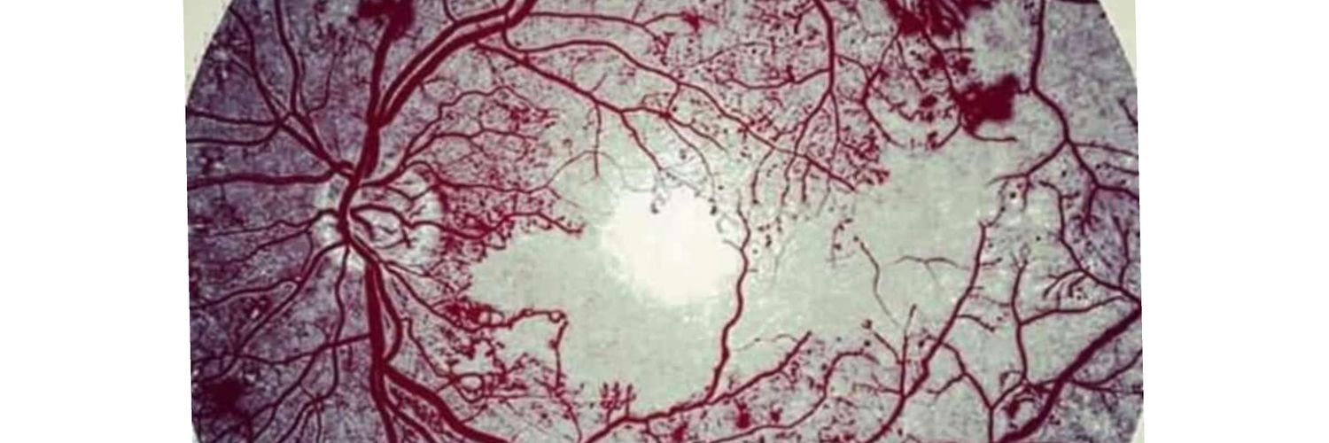 27Jessica11's profile banner image