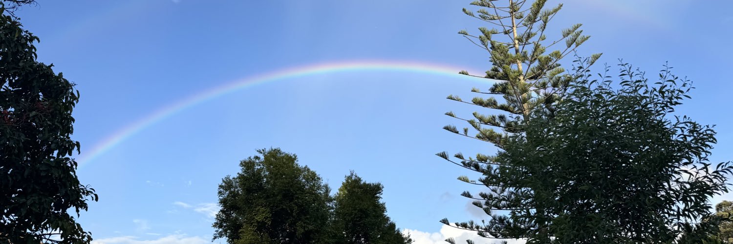 Salsabear26's profile banner image