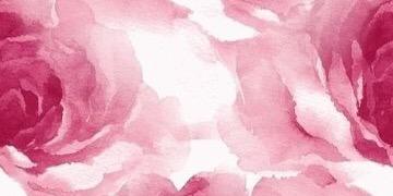 JantzKaeli's profile banner image