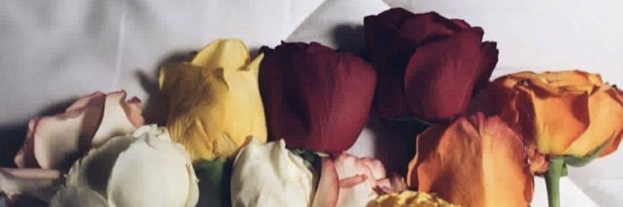 Ebtehal1823's profile banner image