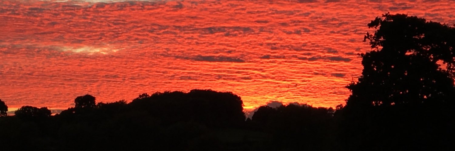 KerryBowness's profile banner image