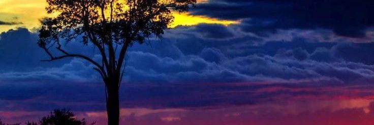 Jose G. banner