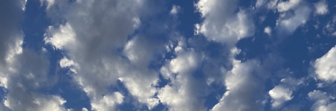 rosett_ponce's profile banner image