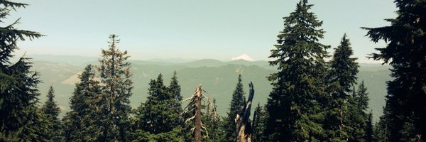 mattccanfield Profile Banner