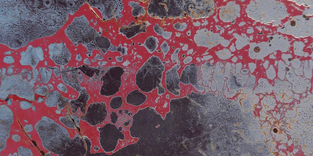 Blush Twin Cities banner