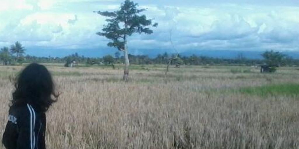 saputrauta123's profile banner image