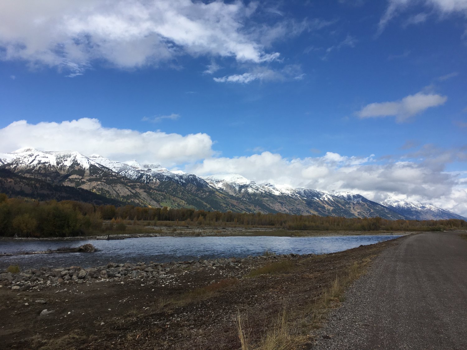 Ali Donaldson banner