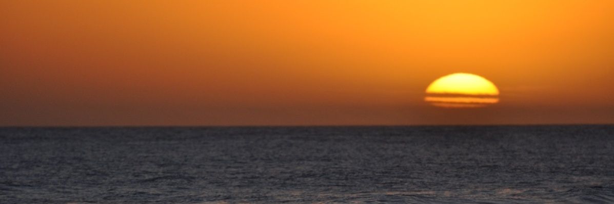 Marien banner