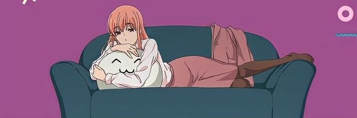 coquinona's profile banner image
