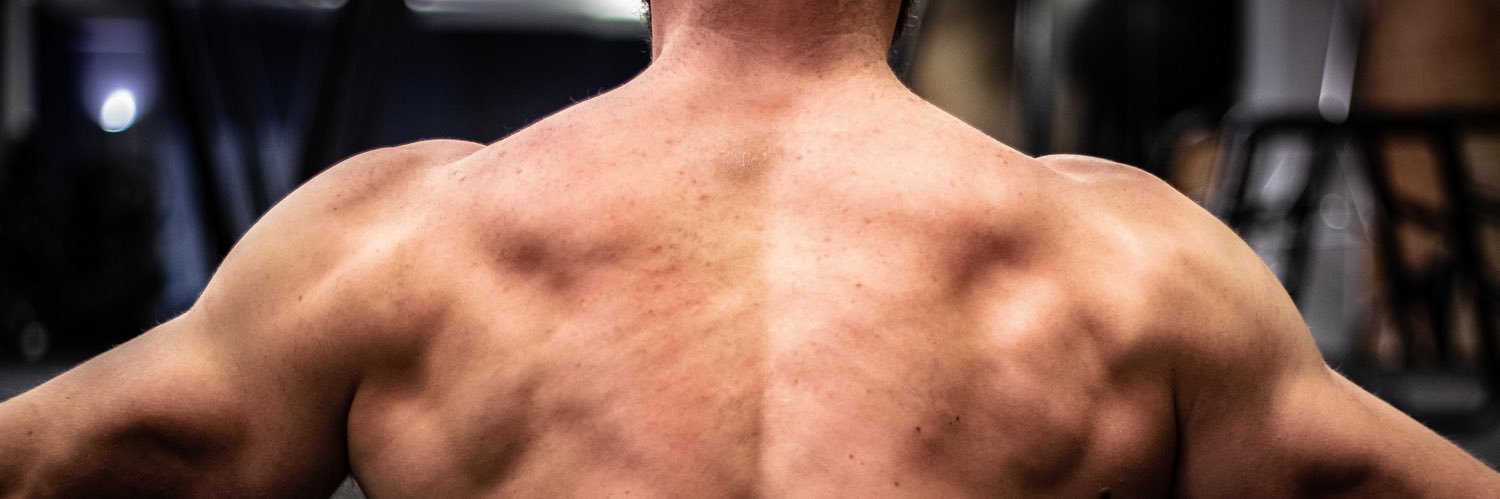 Chris Rowlatt banner