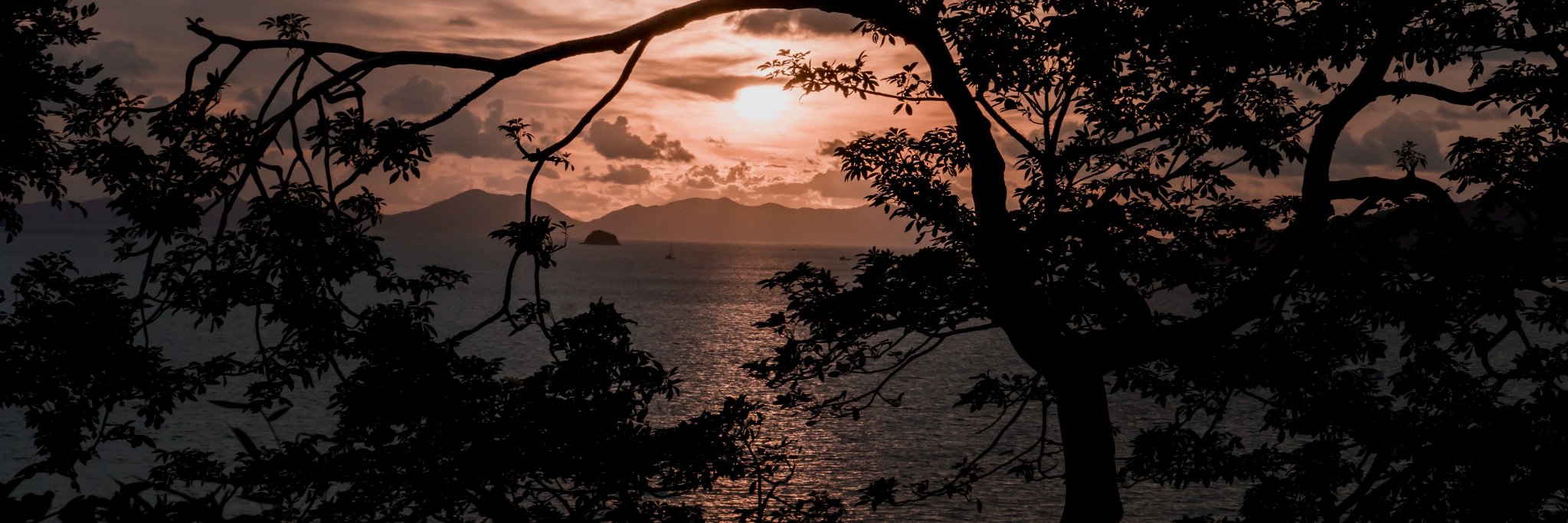colorconcerned's profile banner image