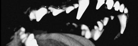 fer_delap's profile banner image