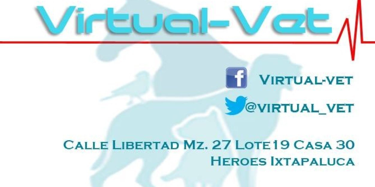 virtual_vet's profile banner image