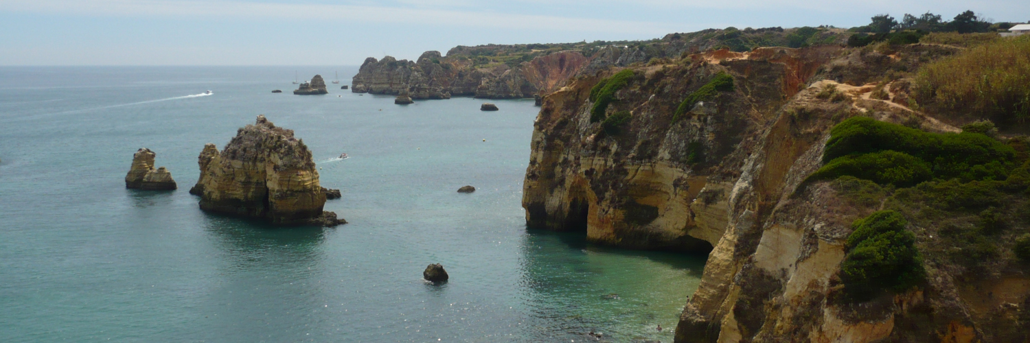 Marc Puntos i Cornet banner