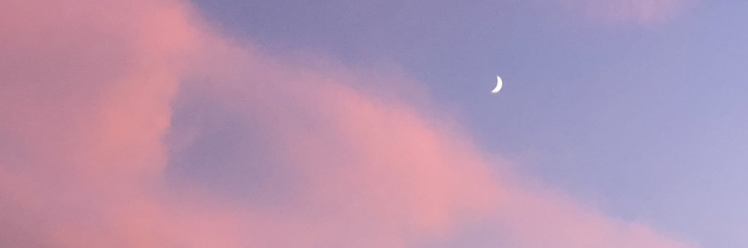 mollysteavpack's profile banner image