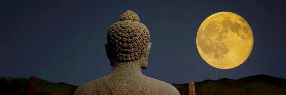 HeikeBetz's profile banner image