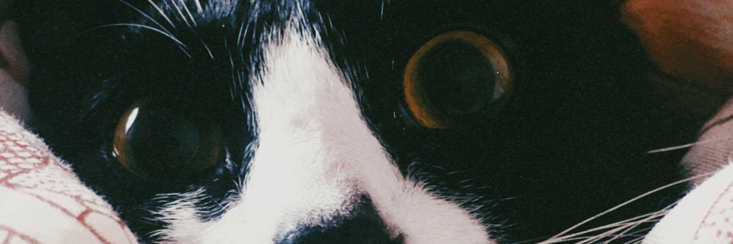 marazzi_'s profile banner image