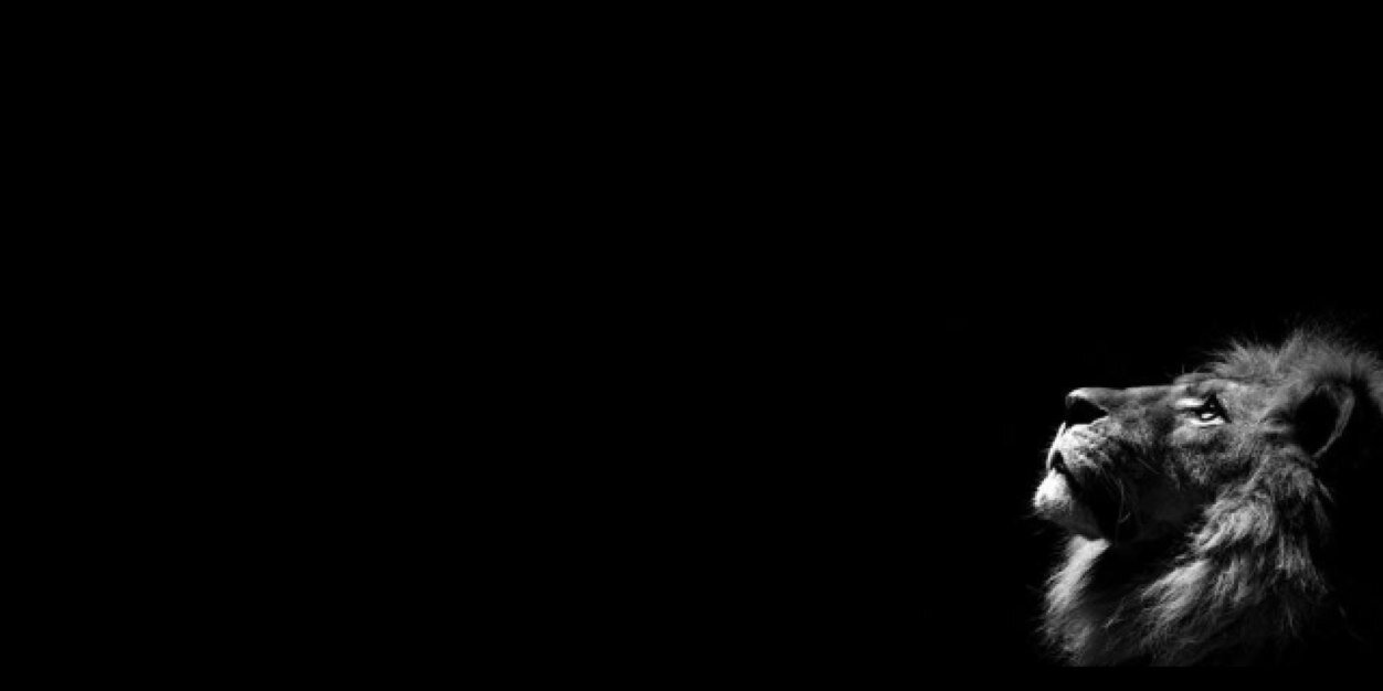 Archa_G's profile banner image