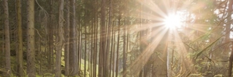 GroveProject's profile banner image