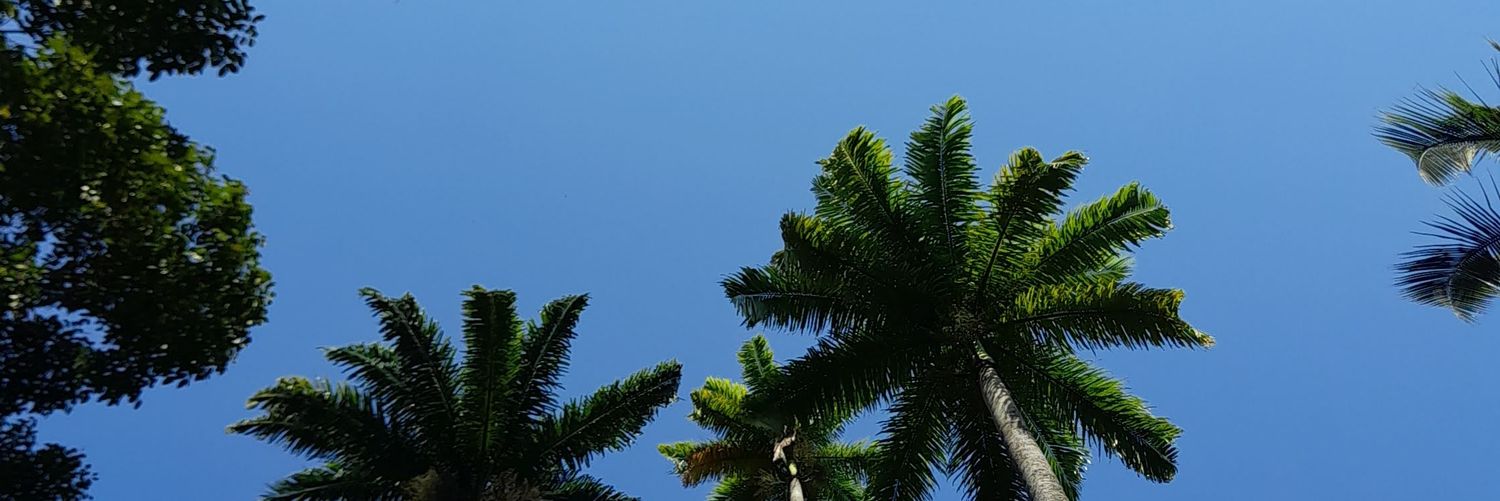 mariinalobato's profile banner image