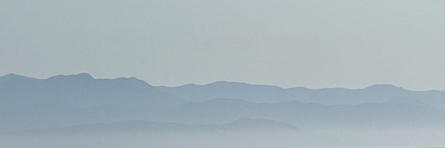 Daniel Schiralli banner