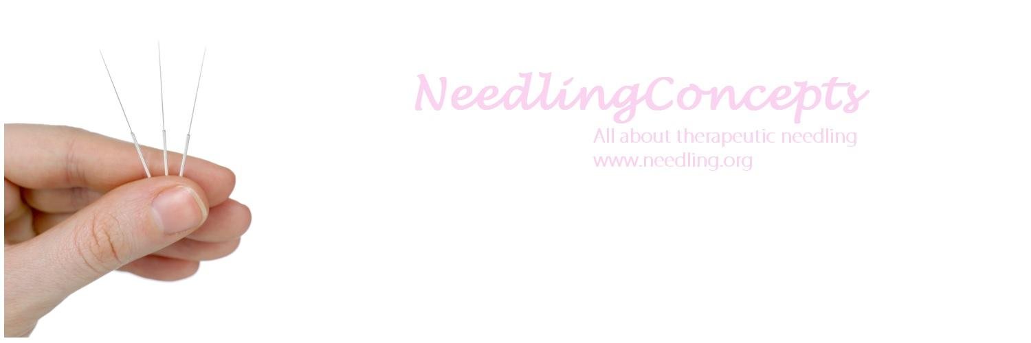 needlingconcept's profile banner image