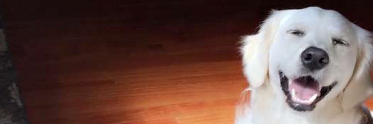 hmae05's profile banner image