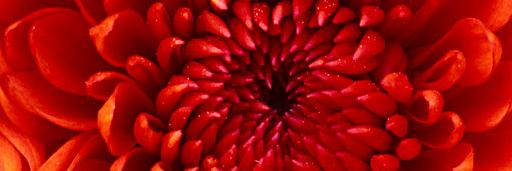 agustinblb53's profile banner image