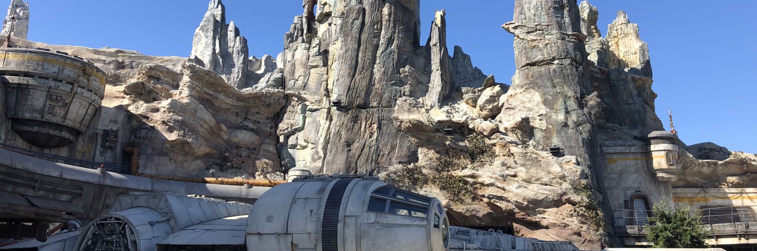 demarco fleming banner