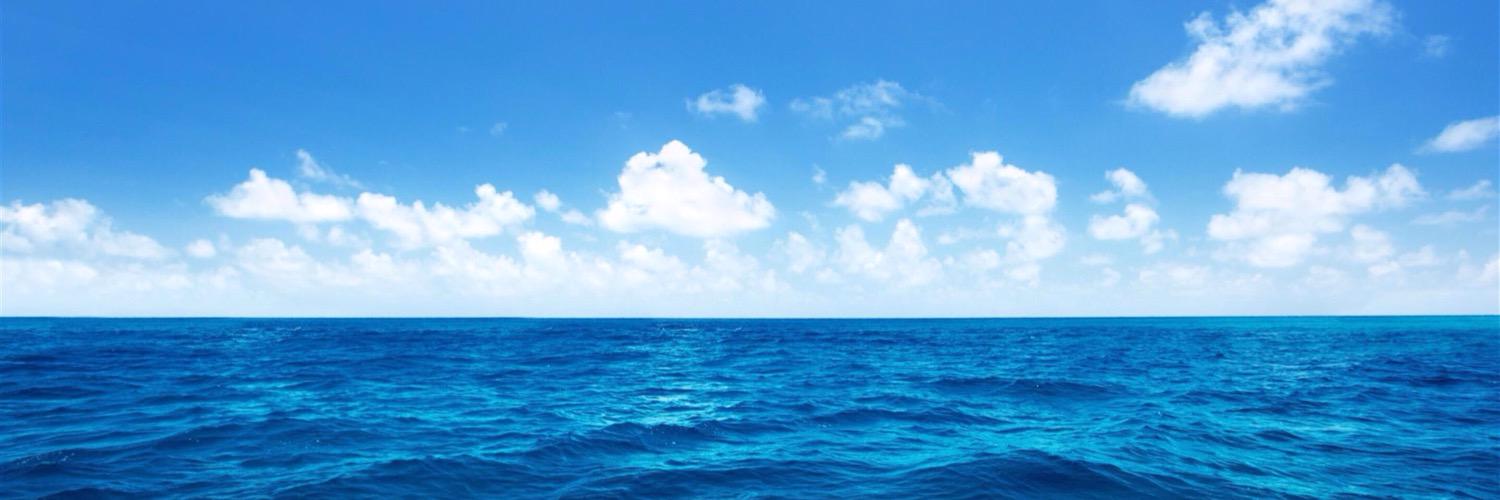 reneeng89's profile banner image
