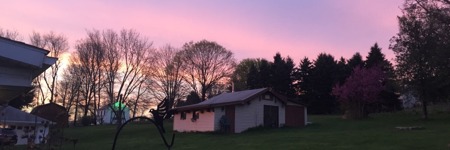 ashross12's profile banner image