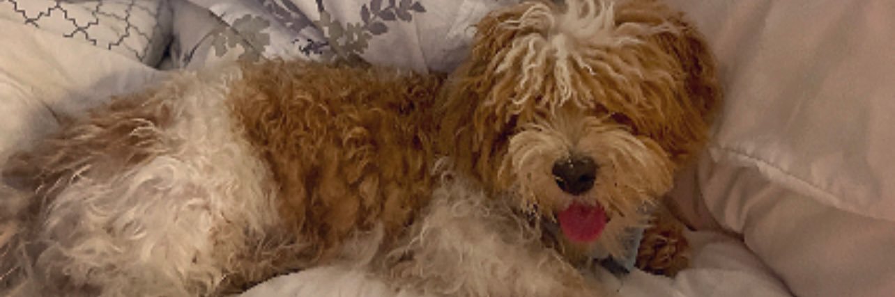 JulsFrady's profile banner image