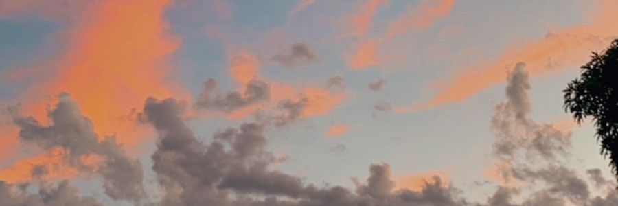 _anitagodoy's profile banner image