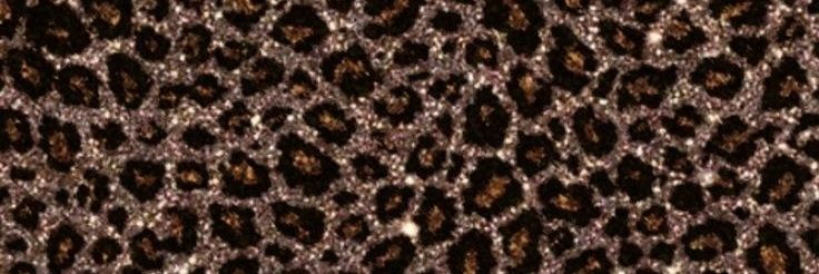 sofii_dichiara's profile banner image