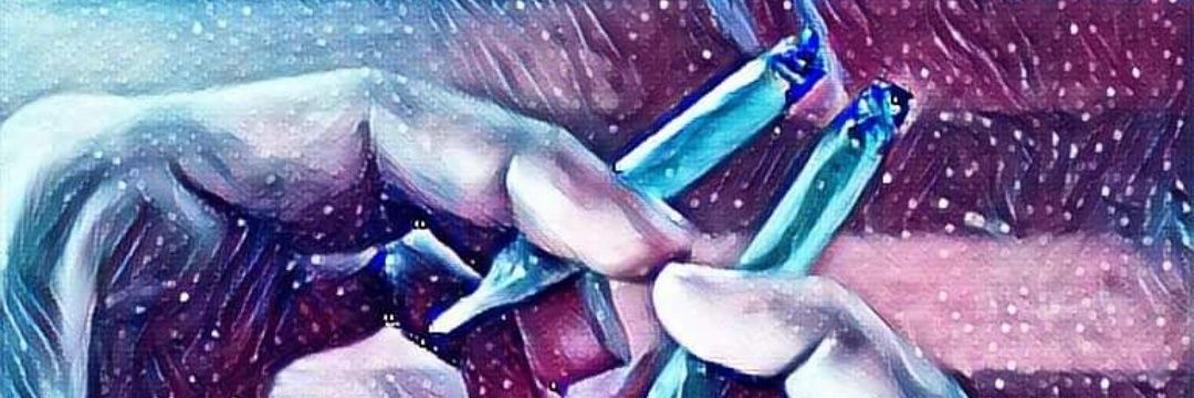 bjaeeusenumque's profile banner image