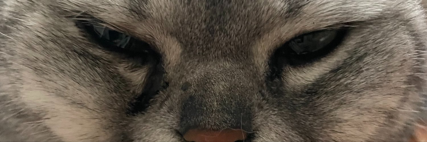 vooshee's profile banner image