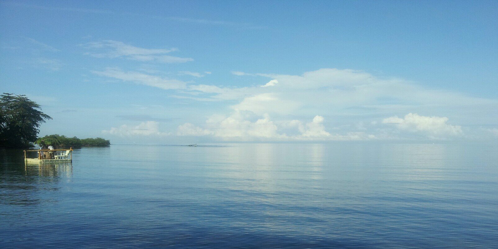 Sharlyn Moreno banner