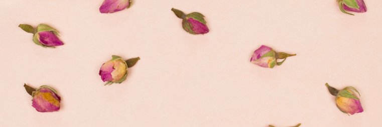 saintemuse's profile banner image