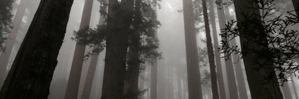 WillieEverstop Profile Banner