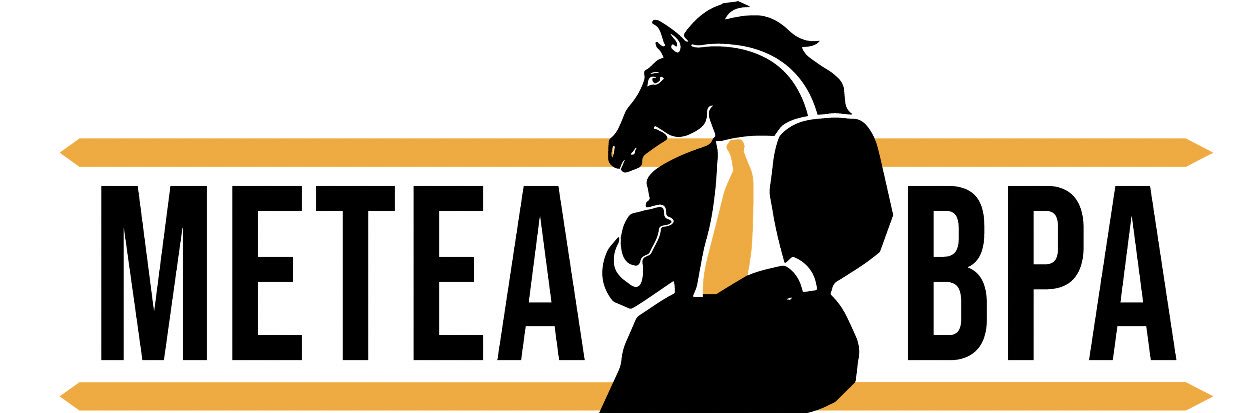 Metea Valley BPA banner