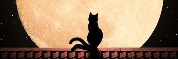 saraborgesch Profile Banner