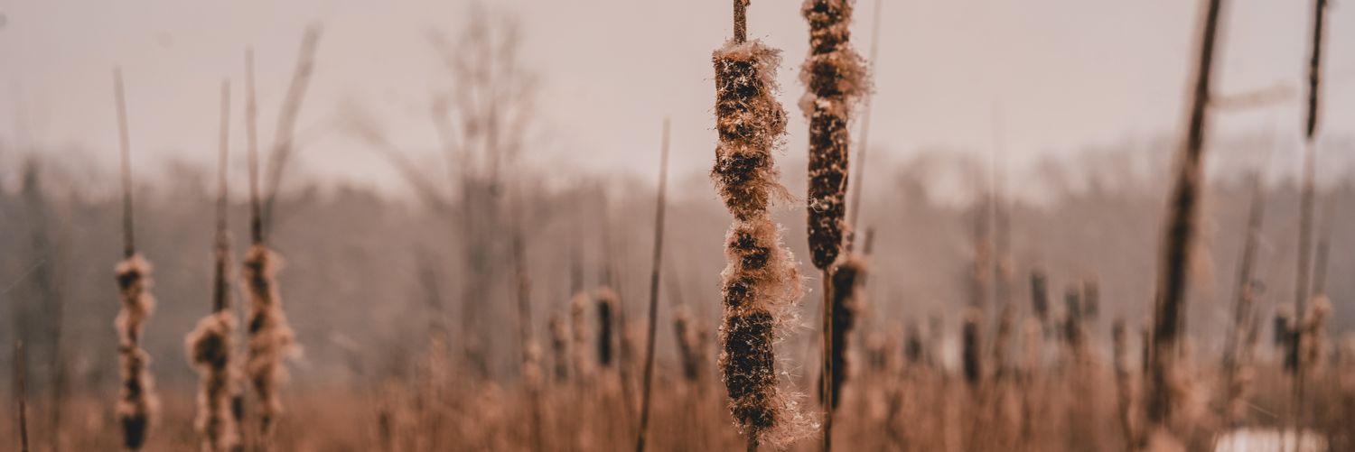 JEvans_44's profile banner image