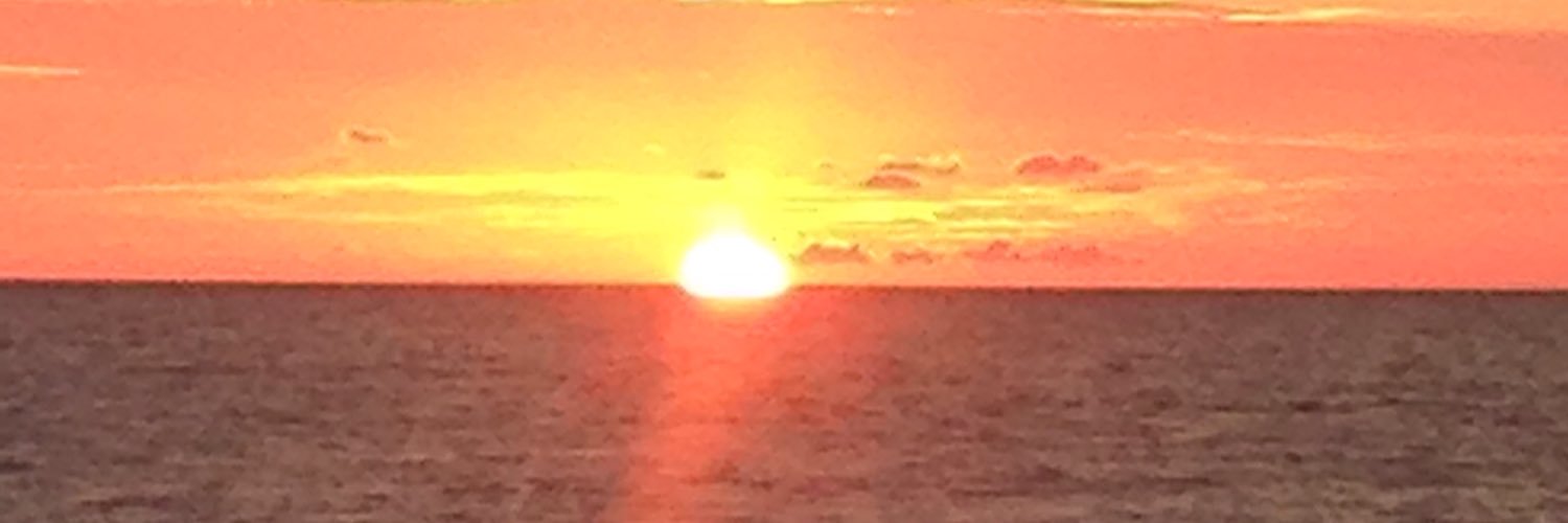 tom Stringfellow banner