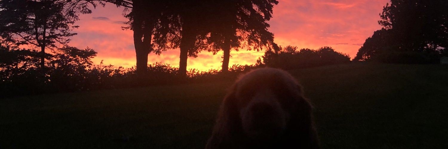 r_sanderfoot's profile banner image