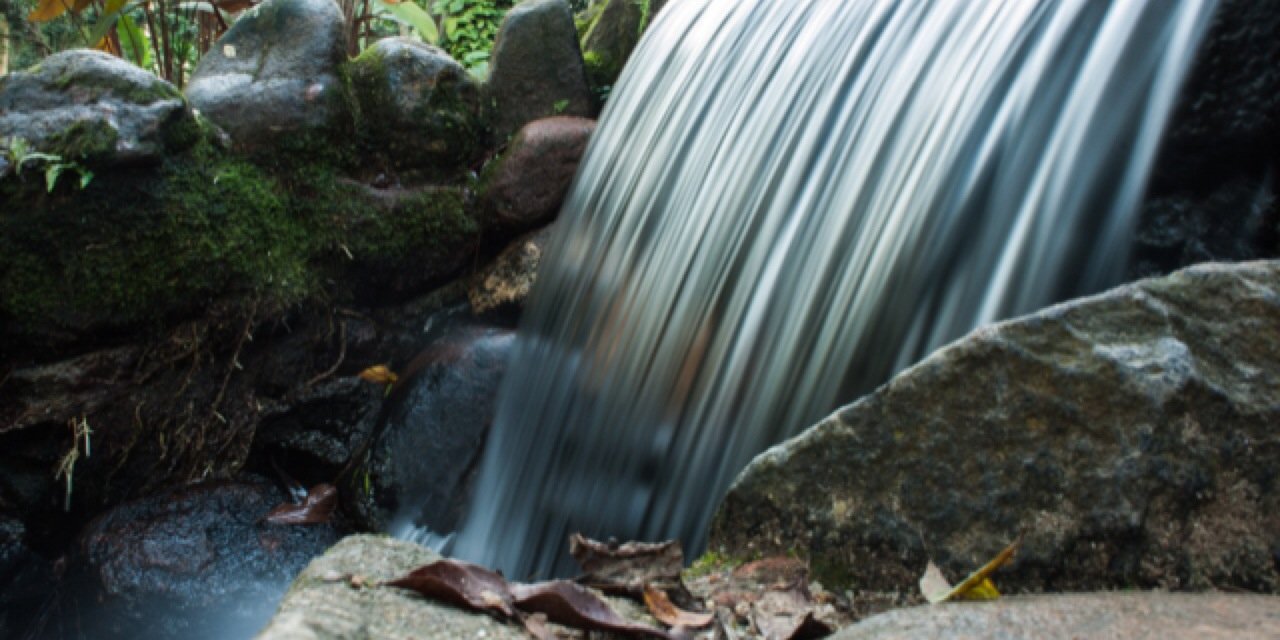 safewater's profile banner image