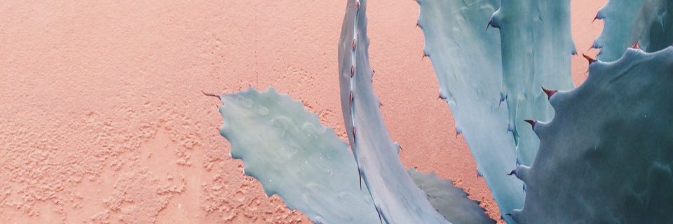chanelcreates's profile banner image