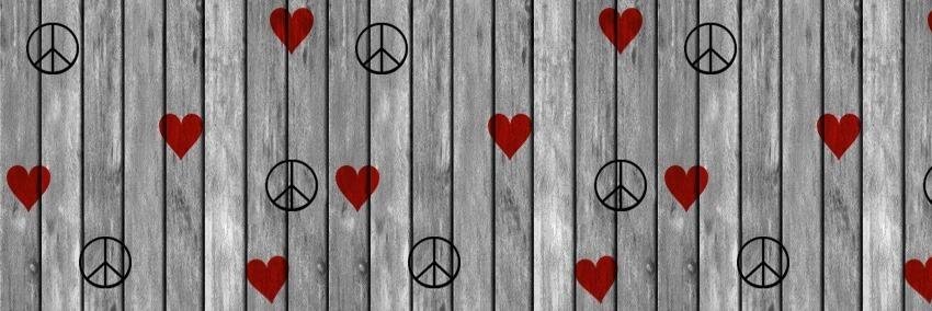 elsysancheez's profile banner image